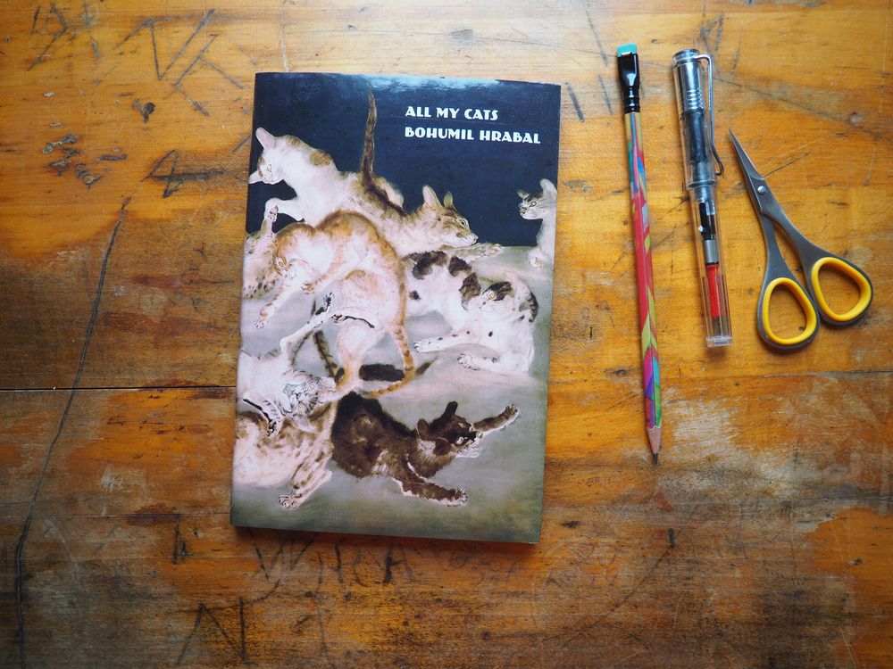 All My Cats by Bohumil Hrabal