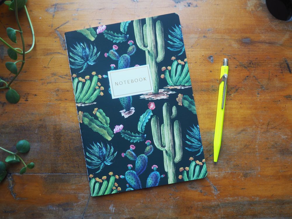 Bruno Visconti - Notebook - A5 Lined - Cactus on Black