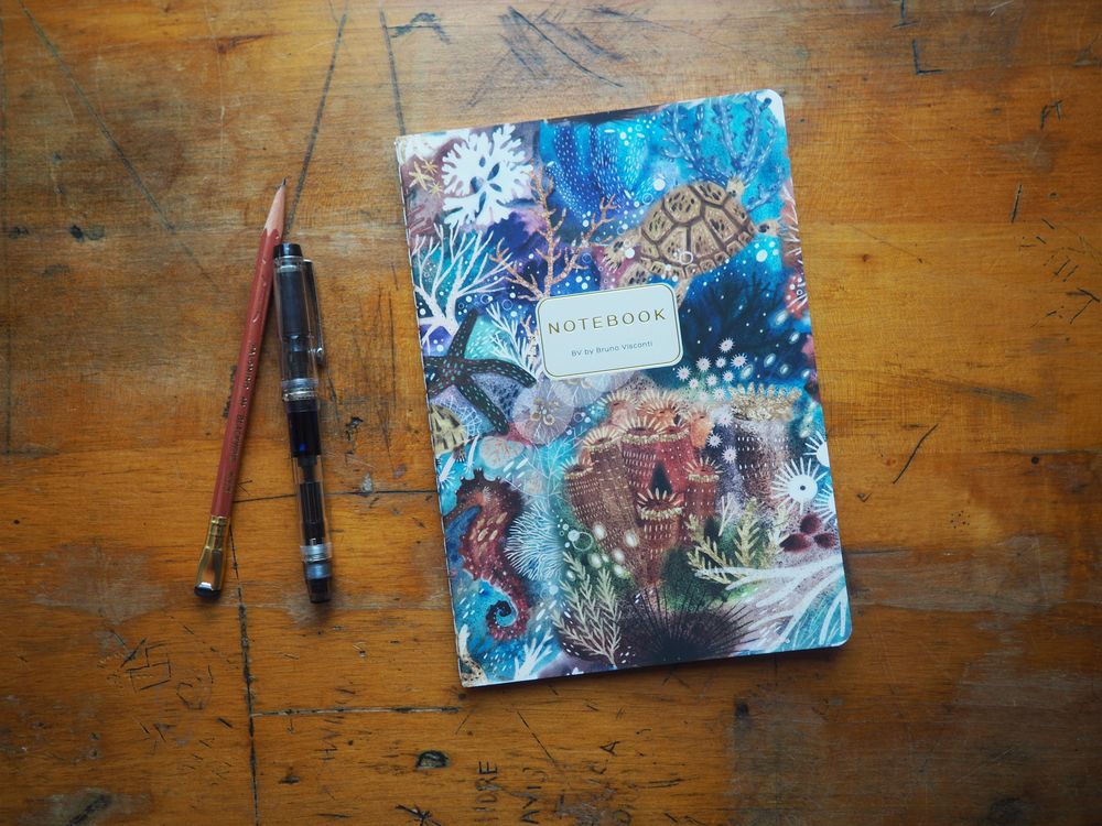 Bruno Visconti - Notebook - A5 Lined - Coral