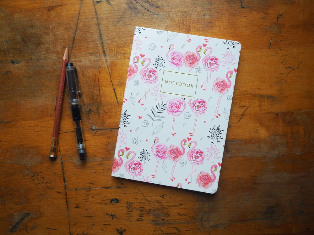 Bruno Visconti - Notebook - A5 Lined - Flamingo