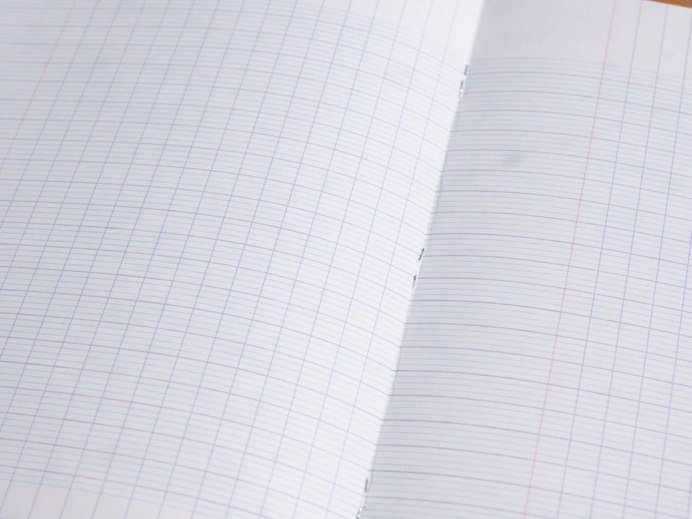 Clairefontaine - Seyes - A4 - Assorted Colours (96 Pages) - Image 2