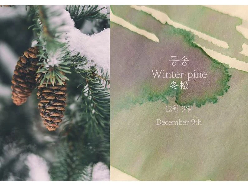 Dominant Industry Fountain Pen Ink (25mL) - Standard 119 - Winter Pine