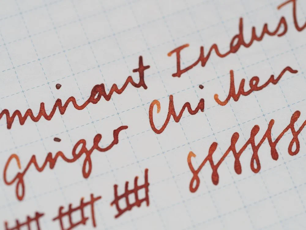 Dominant Industry Fountain Pen Ink (25mL) - Wonder Pens Exclusive - Ginger Chicken - Image 4