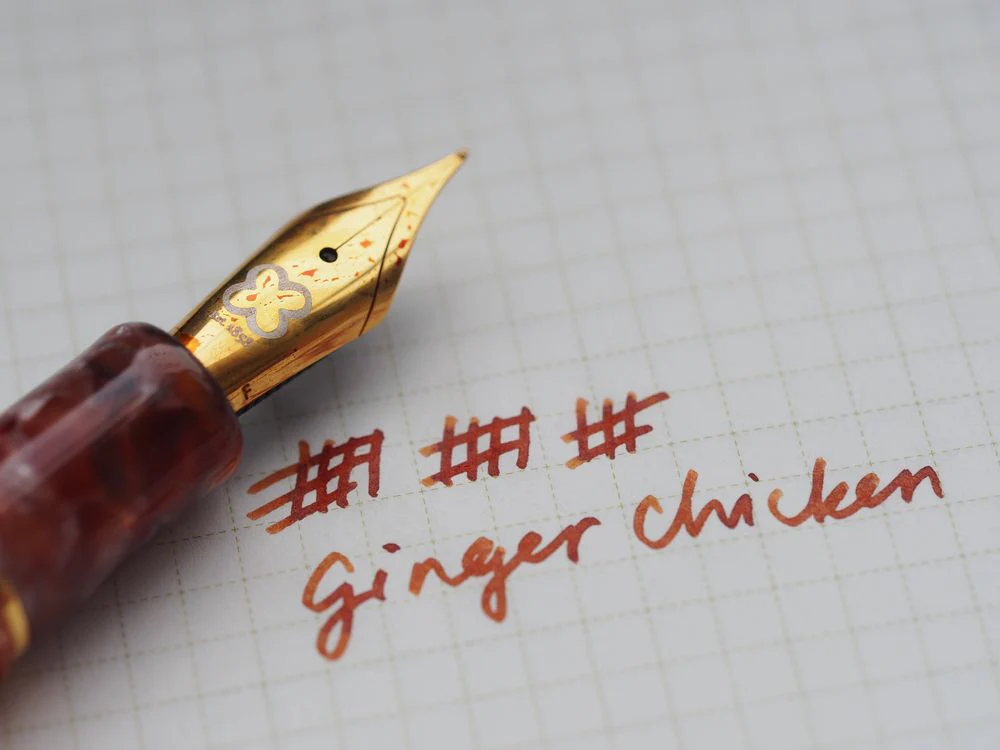 Dominant Industry Fountain Pen Ink (25mL) - Wonder Pens Exclusive - Ginger Chicken - Image 5