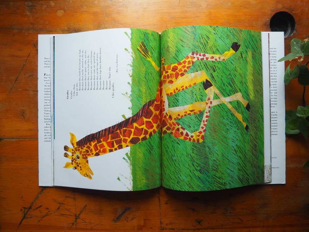 Eric Carle's Animals Animals - Image 4
