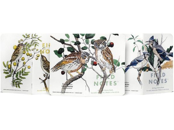 Field Notes - 2024 Fall Limited Edition - Birds and Trees of North America - Pack A