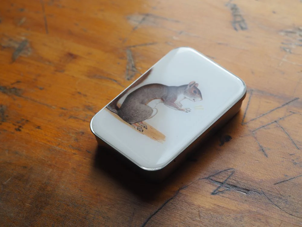 Firefly Notes - Tin - Yarn Squirrel