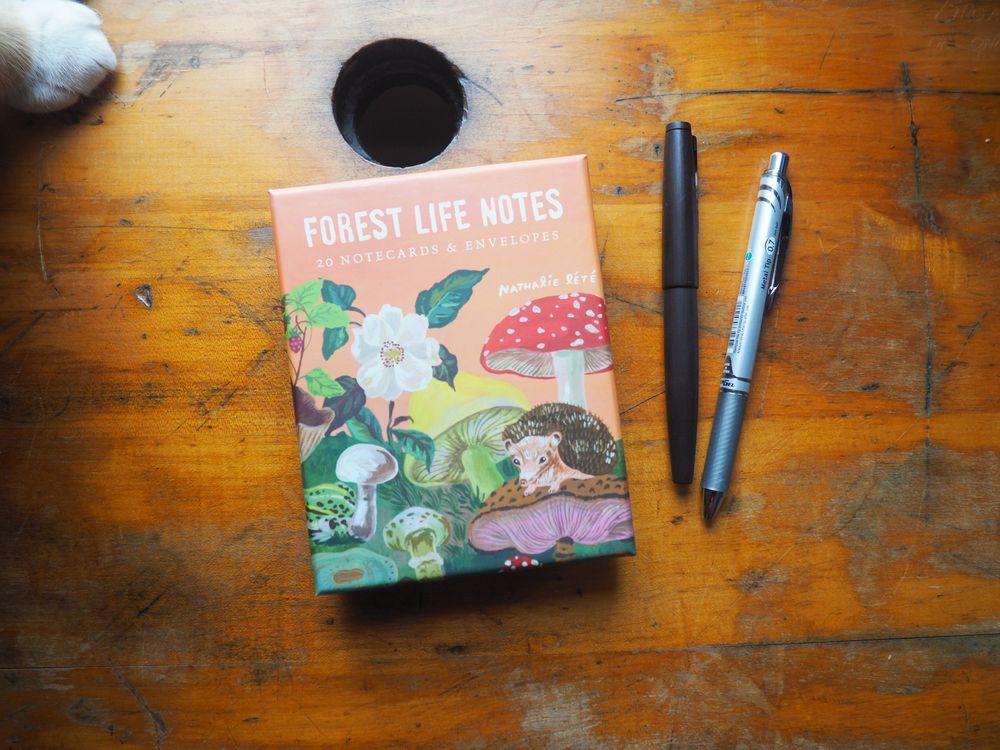 Forest Life Notes Set - 20 Notecards & Envelopes