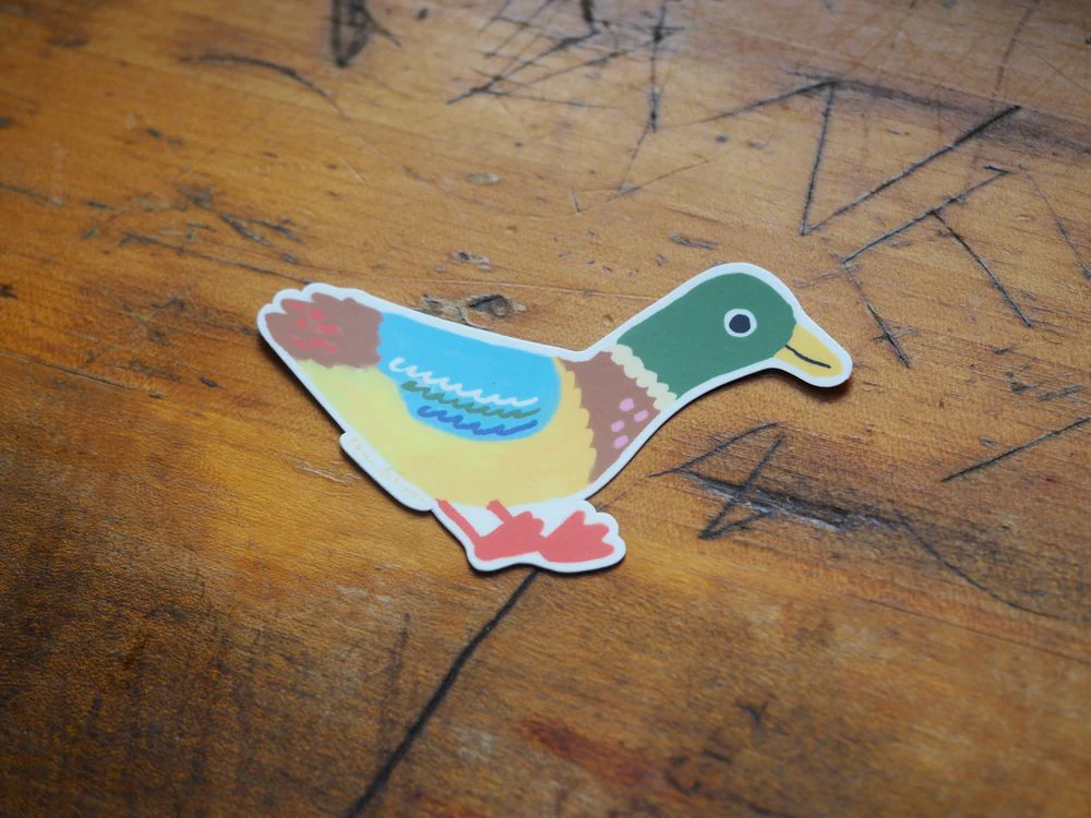 Karen Schipper - Vinyl Sticker - Mallard Duck