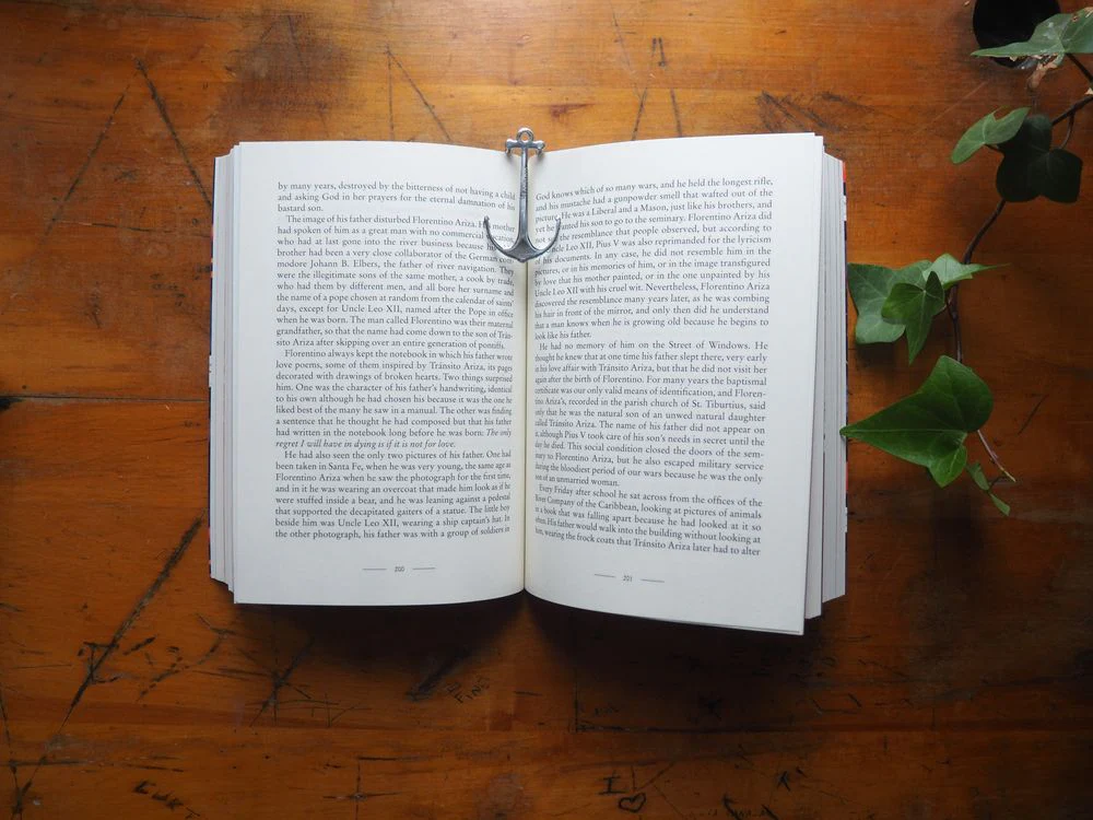 Love in the Time of Cholera (Illustrated Edition) by Gabriel García Márquez - Image 5