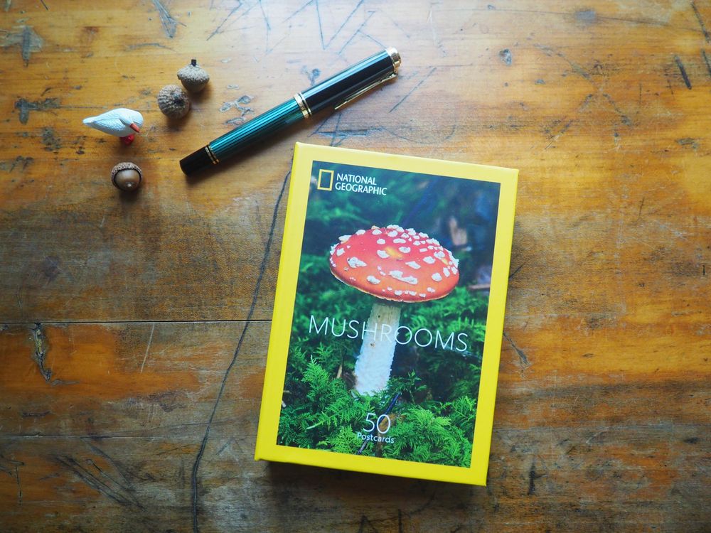 National Geographic - Mushrooms - 50 Postcards