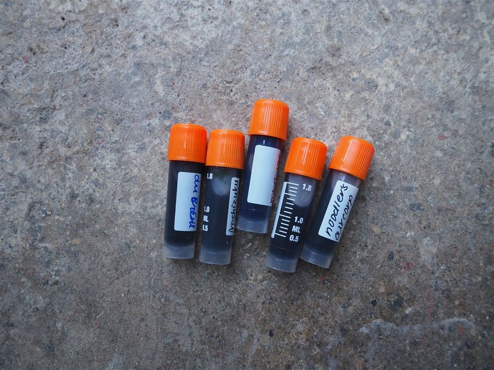 Mystery Ink Sample - Pack of 5