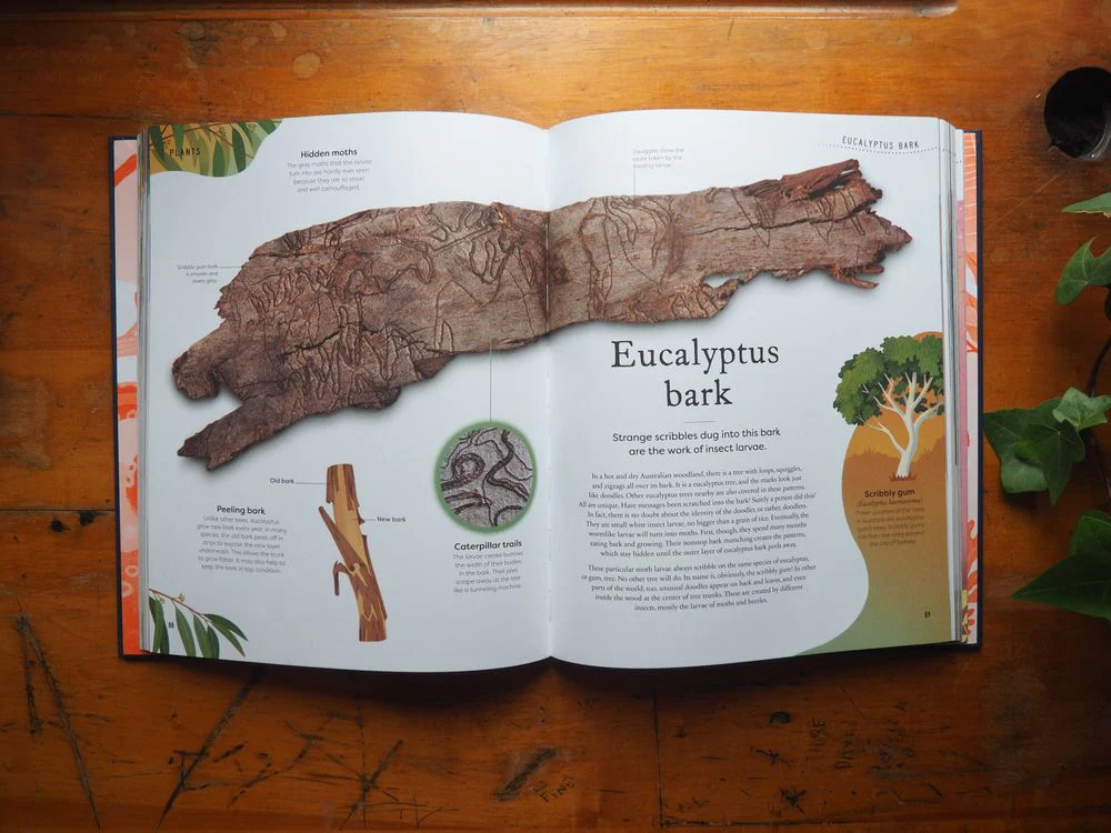 Nature's Treasures: Tales Of More Than 100 Extraordinary Objects From Nature by Ben Hoare - Image 3