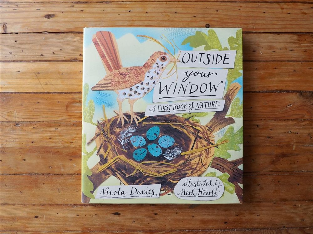 Outside Your Window: A First Book of Nature by Nicola Davies