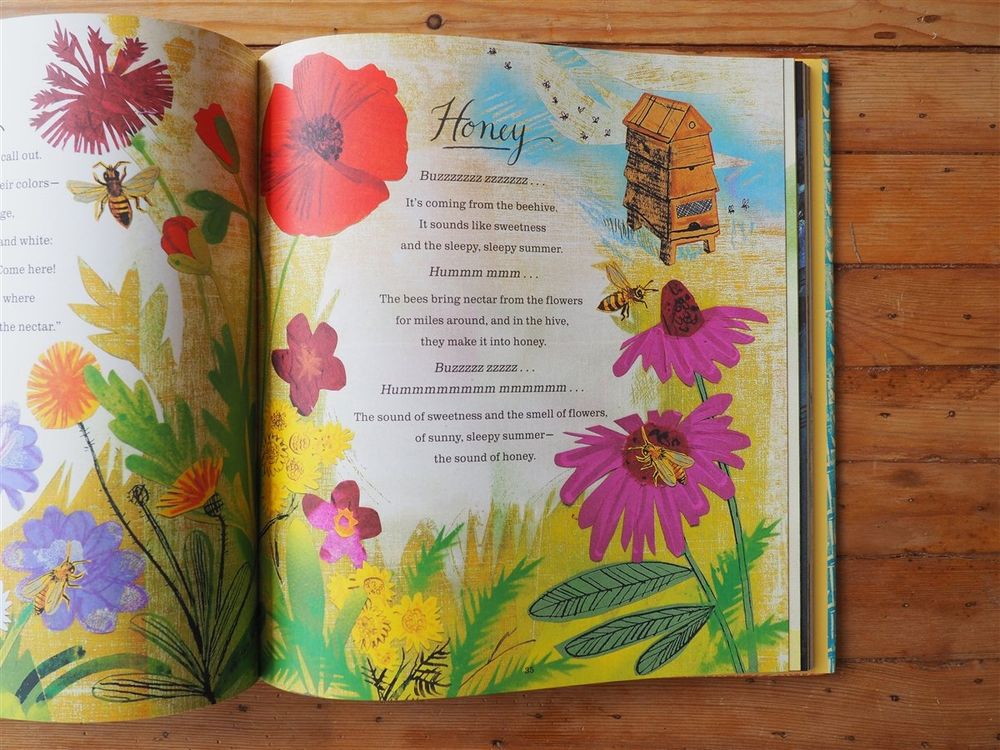 Outside Your Window: A First Book of Nature by Nicola Davies - Image 2