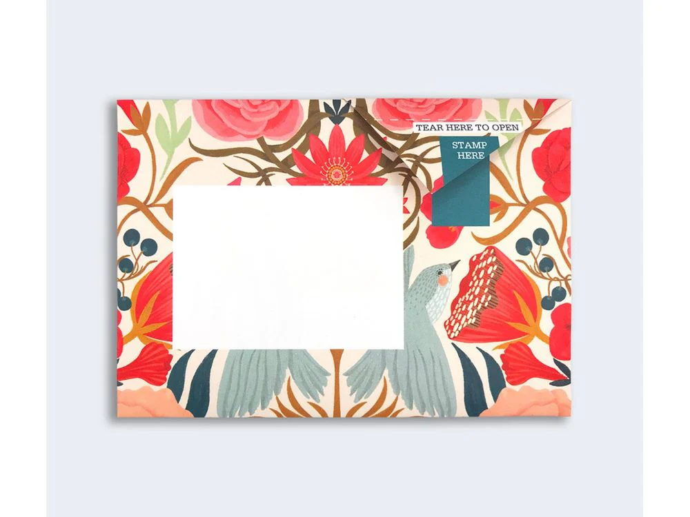 Pigeon - Correspondence Paper - 6 Sheets - Bright & Beautiful Pigeons Pack - Image 5