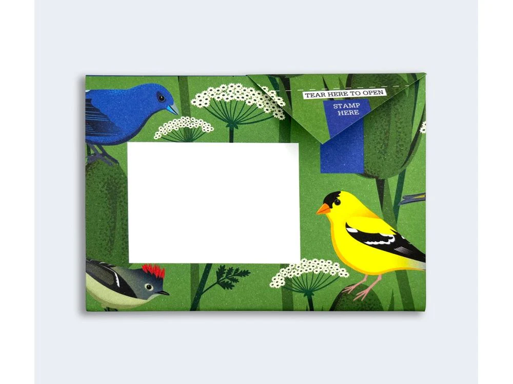 Pigeon - Correspondence Paper - 6 Sheets - Carnival of Colour - Image 2