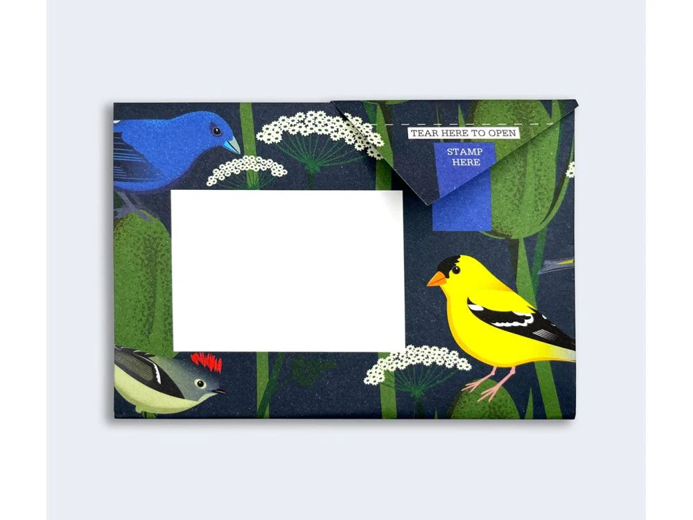 Pigeon - Correspondence Paper - 6 Sheets - Carnival of Colour - Image 6