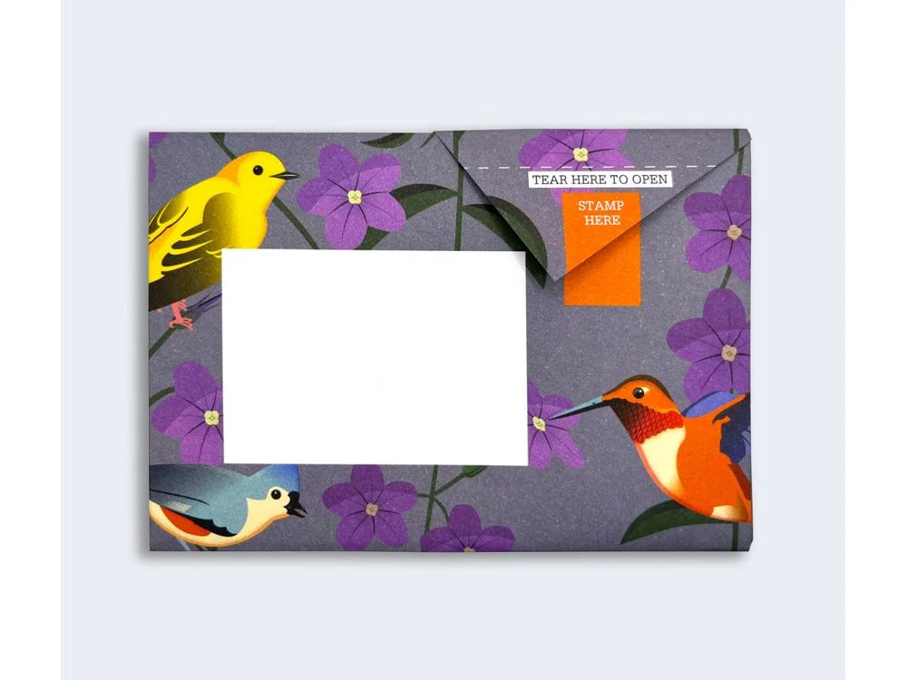 Pigeon - Correspondence Paper - 6 Sheets - Carnival of Colour - Image 7