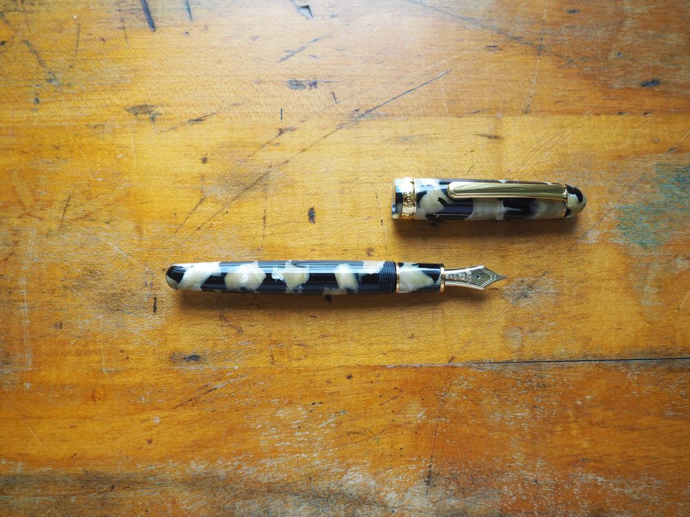 Platinum 3776 Century - Celluloid - Calico - Image 2