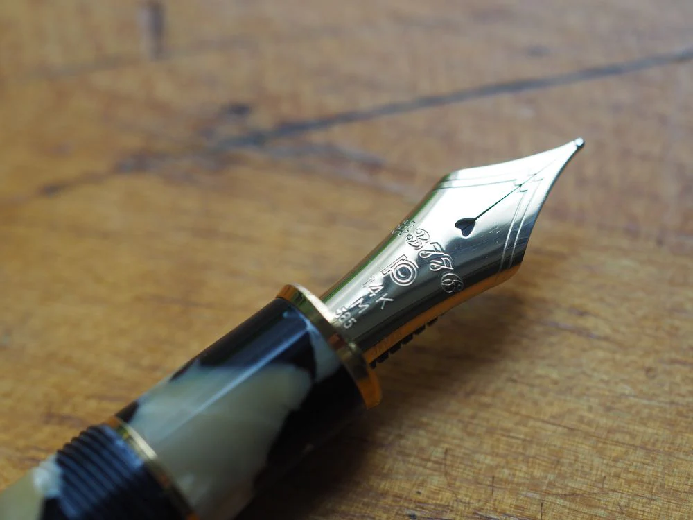 Platinum 3776 Century - Celluloid - Calico - Image 3
