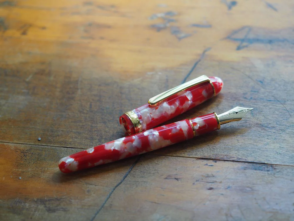 Platinum 3776 Century - Celluloid - Koi