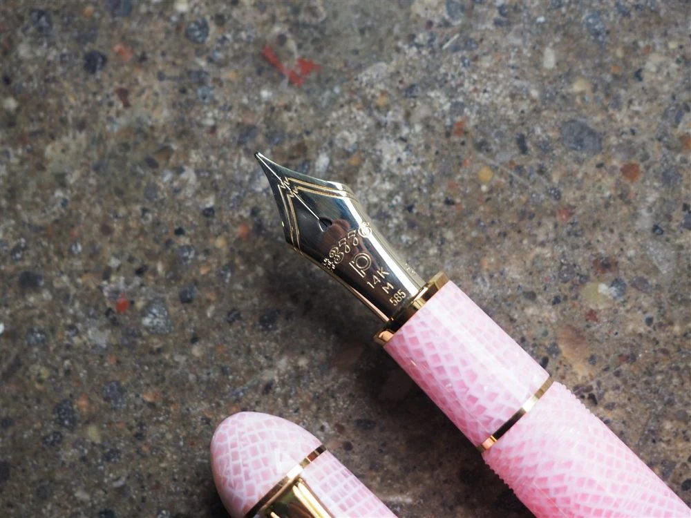 Platinum 3776 Century - Celluloid - Sakura - Image 3