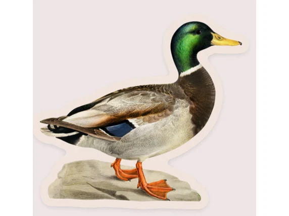 Stay Home Club - Sticker - Measured Mallard