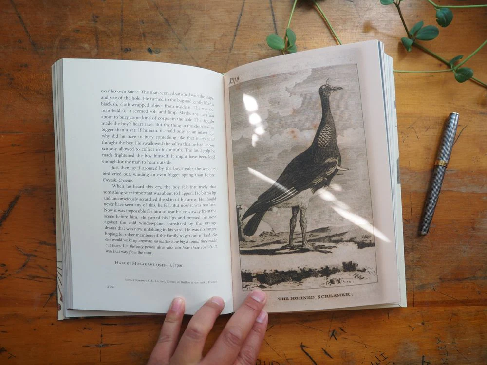 The Bedside Book of Birds: An Avian Miscellany by Graeme Gibson - Image 4