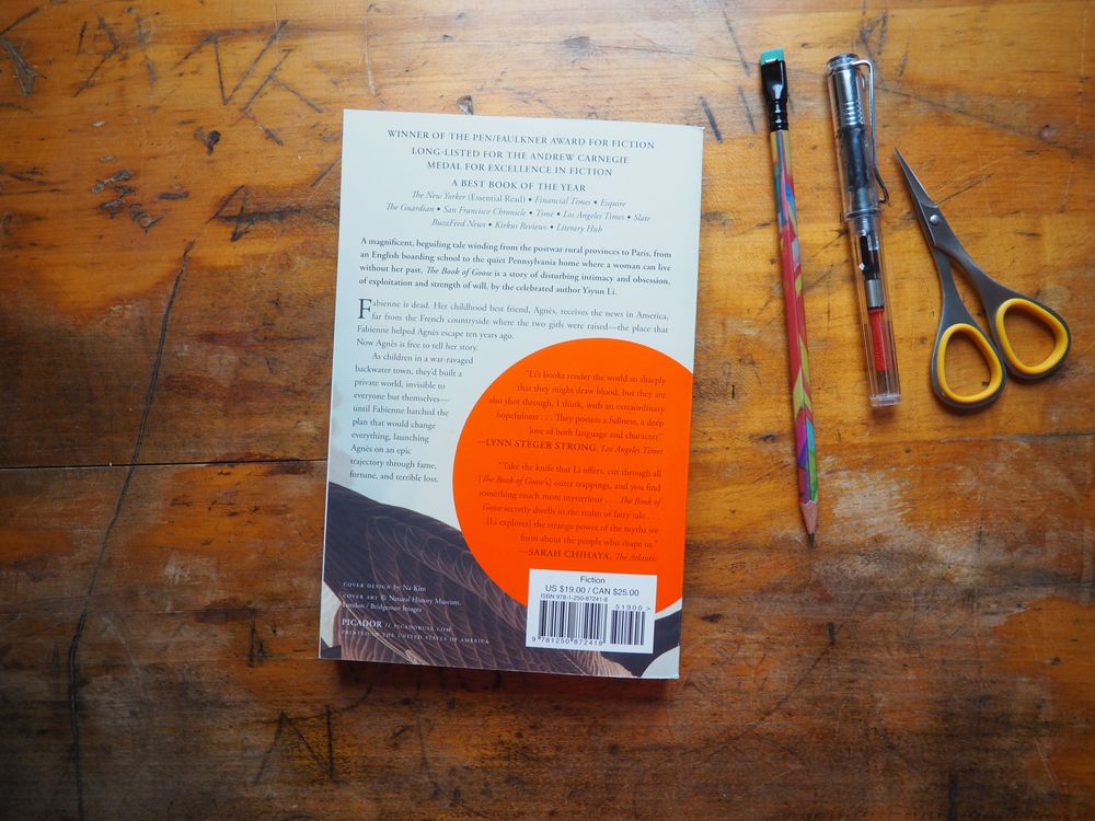 The Book of Goose by Yiyun Li - Image 2