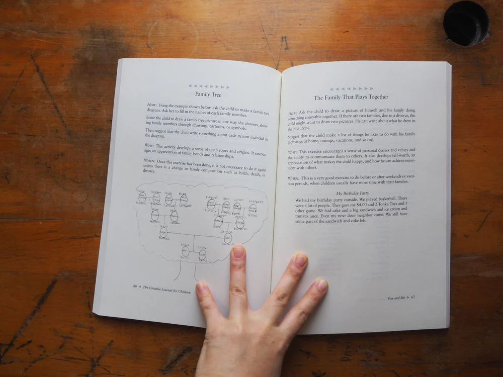 The Creative Journal for Children: A Guide for Parents, Teachers and Counselors by Lucia Capacchione - Image 3