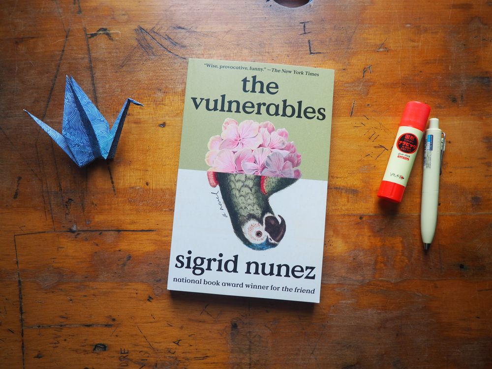 The Vulnerables by Sigrid Nunez
