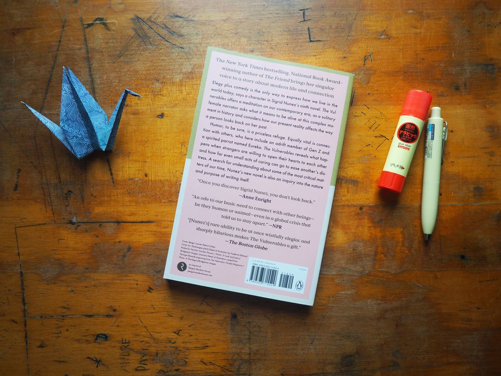 The Vulnerables by Sigrid Nunez - Image 2