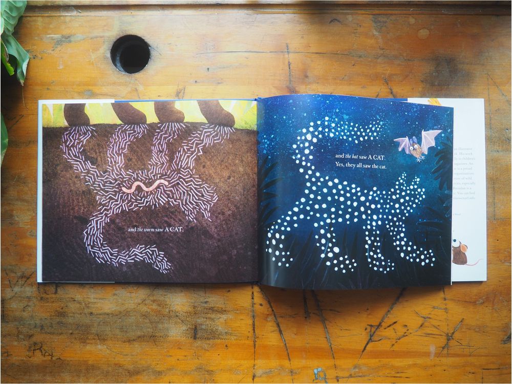 They all Saw a Cat by Brendan Wenzel - Image 3