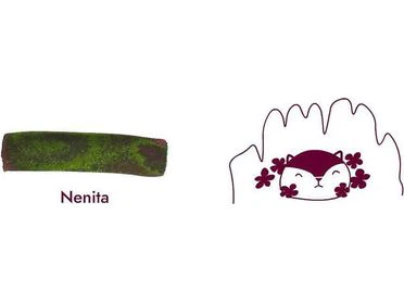 Troublemaker Inks - Fountain Pen Sheening Ink (60mL) - Nenita