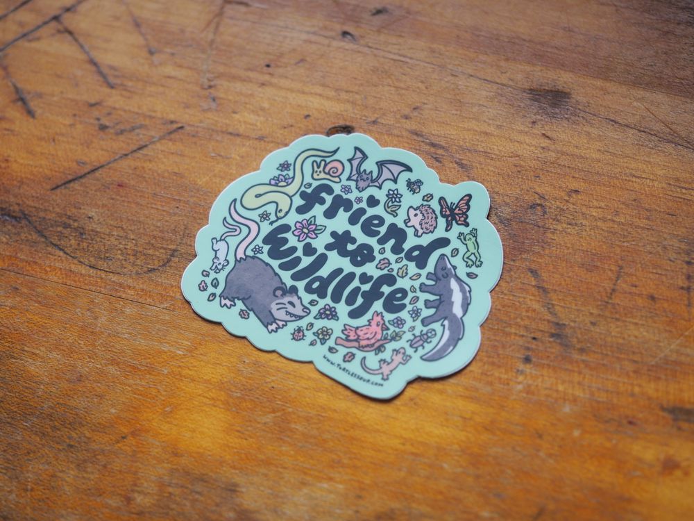 Turtle's Soup - Vinyl Sticker - Friend To Wildlife
