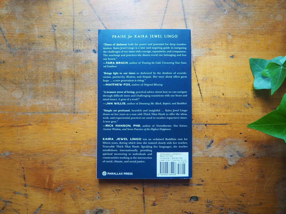 We Were Made for These Times: Ten Lessons on Moving Through Change, Loss, and Disruption by Kaira Jewel Lingo - Image 2