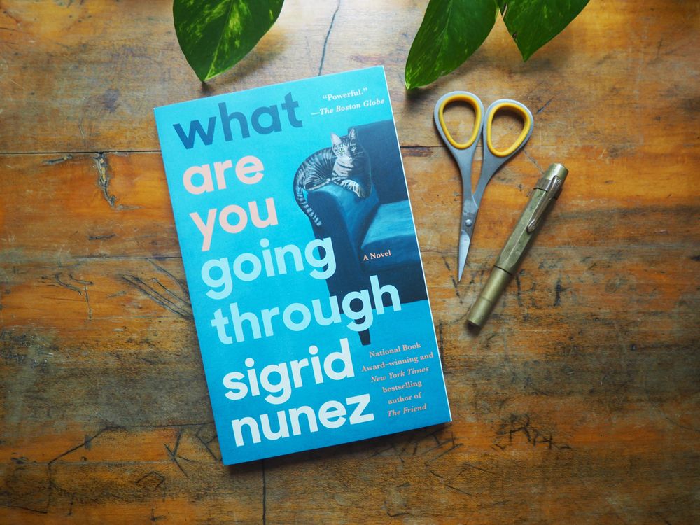 What Are You Going Through by Sigrid Nunez