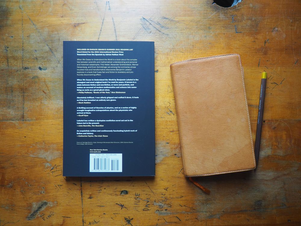 When We Cease to Understand the World by Benjamin Labatut - Image 2