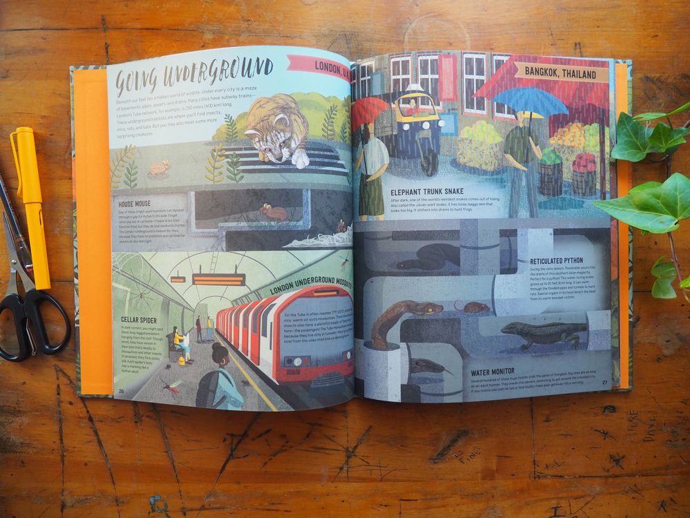Wild City by Ben Hoare - Image 3