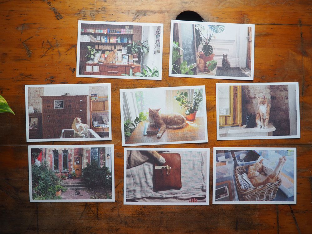 Wonder Pens Chicken Postcard Set (8 Total)
